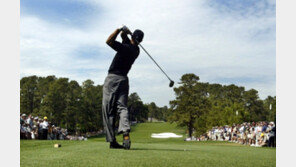 [골프]스타일 구긴 우즈