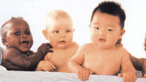 [인문사회]‘생각의 지도’…동양인 서양인 감성지도 다르다