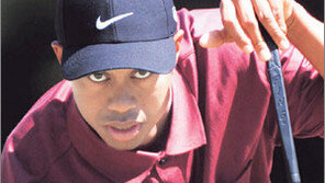 [골프]골프황제 우즈 11월 한국온다