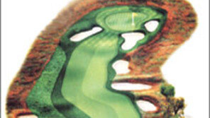 [골프]강풍… 허리높이 러프… 유리알 그린… “죽었다”