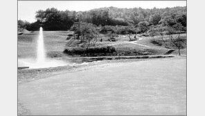 [골프소식]‘영진 골프랜드 플리티늄 회원모집’ 외