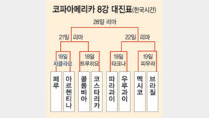 [해외축구]파라과이, 브라질 깼다…코파아메리카 함께 8강