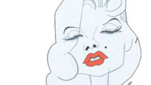 [인문사회]‘감각의 박물학’…나의  ‘감각의 제국’을 느낀다