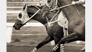 [인문사회]‘달려라! 하루우라라’…일본의 희망으로