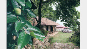 [아주 특별한 체험여행]전남 구례읍 ‘다무락마을’