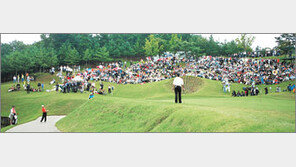 [골프]어니 엘스, 세련된 매너… 황태자는 달랐다