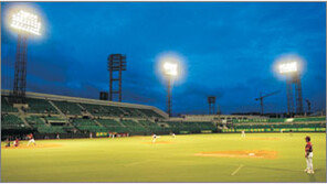 [프로야구]‘兵風낙엽’… 프로야구 51명 출장정지