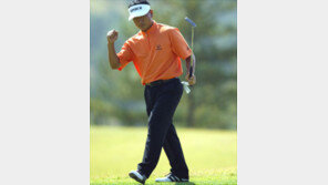 [골프]최경주 동양화재컵 4R 4타차 뒤집어