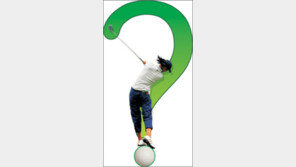 [골프&골퍼]골프에 관한 7가지 궁금증