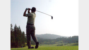 [골프&골퍼]부킹-가격 OK… 해외 골프투어 떠나볼까!