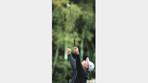 [골프]엘스, 3년연속 별을 따다…HSBC월드매치 20억원 대박