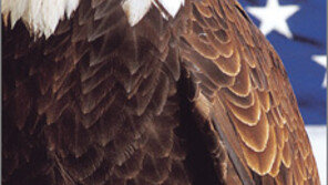 [인문사회]‘패권인가…’ 美 일방주의 부시 前에도 있었다