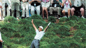 [골프]우즈 “황제의 부활 지켜보라”