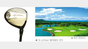 [골프 소식]㈜마스터즈 인터내셔널, 페어웨이 우드 출시 외