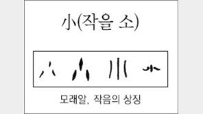 [한자 뿌리읽기]<167>小(작을 소)