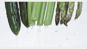 [스타일/푸드]겨울잠 깬 몸에 활기 불어넣는 ‘그린푸드’ 4選