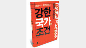[인문사회]‘강한 국가의 조건’…약한 국가를 개조한다?