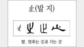 [한자 뿌리읽기]<187>止(발 지)