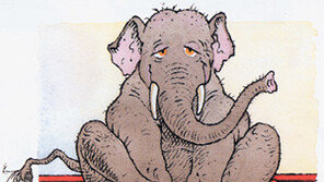 [어린이 책]‘세상에서 가장 귀여운 나의 고양이’