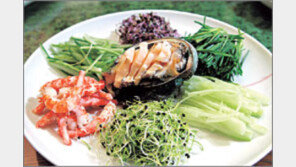 싹채소, 키우기 쉽고 영양-맛 뛰어나 인기