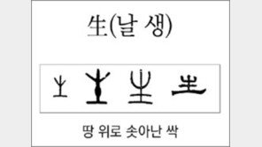 [한자 뿌리읽기]<201>生(날 생)