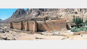 [인문사회]‘야만과 문명, 누가 살아남을 것인가?’