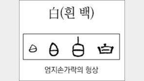 [한자 뿌리읽기]<207>白(흰 백)