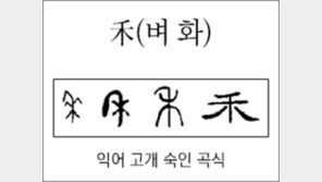 [한자 뿌리읽기]<213>禾(벼 화)