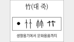 [한자 뿌리읽기]<216>竹(대 죽)