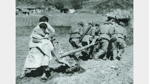 [인문사회]6·25전쟁을 바라보는 두개의 앵글