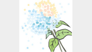 [오늘의 날씨]8월 5일