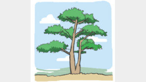 [오늘의 날씨]9월 20일