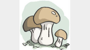 [오늘의 날씨]10월 5일