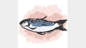 [오늘의 날씨]10월 31일