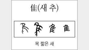 [漢字 뿌리 읽기]<269>추(새 추)