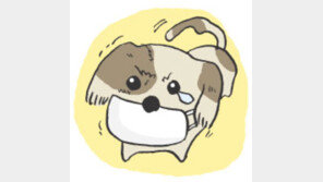 [오늘의 날씨]11월 4일