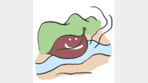 [오늘의 날씨]11월 7일