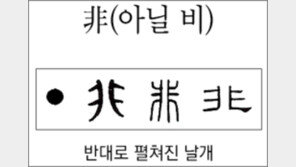 [한자 뿌리읽기]<272>非(아닐 비)