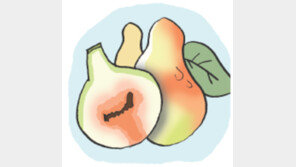 [오늘의 날씨]11월 12일