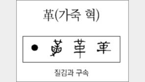 [한자 뿌리읽기]<274>革(가죽 혁)