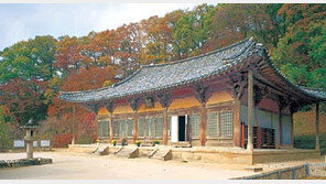 [인문사회]왕이 금관을 안쓴다고?…‘국보이야기’