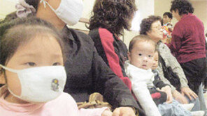 [헬스]비타민C는 감기에 특효?