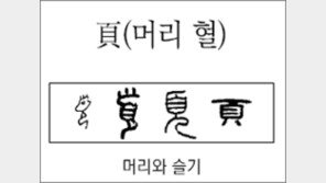 [한자 뿌리읽기]<278>頁(머리 혈)