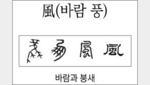 [한자 뿌리읽기]<279>風(바람 풍)