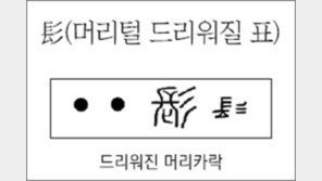 [한자 뿌리읽기]<287>표(머리털 드리워질 표)