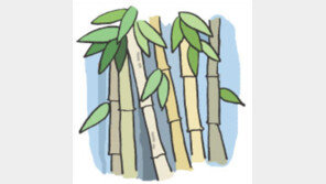 [오늘의 날씨]12월 16일