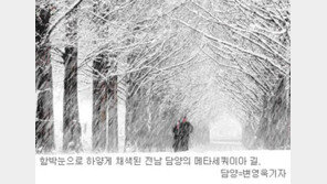 [커버스토리]세밑 베스트 여행지