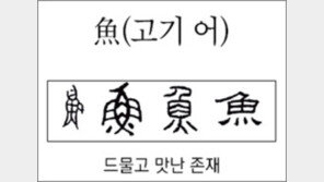 [한자 뿌리읽기]<292>魚(고기 어)