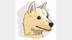 [오늘의 날씨]1월 3일