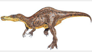 [헉! 튀는 과학]가장 큰 육식공룡은?